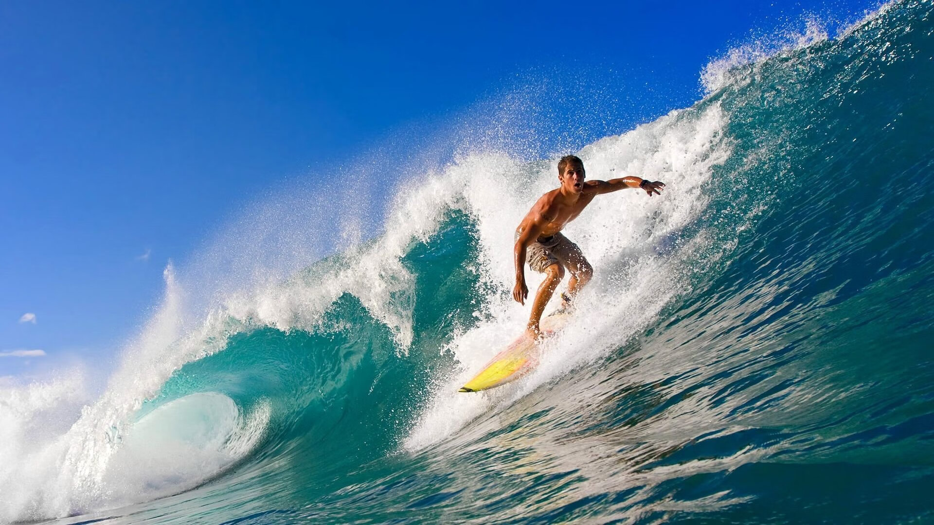 电竞职业选手收入排行